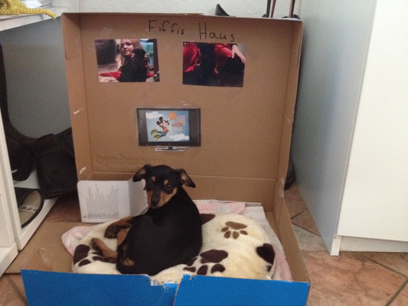 fifi's Haus